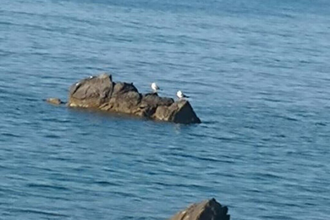 Photo of Others in Acquarone