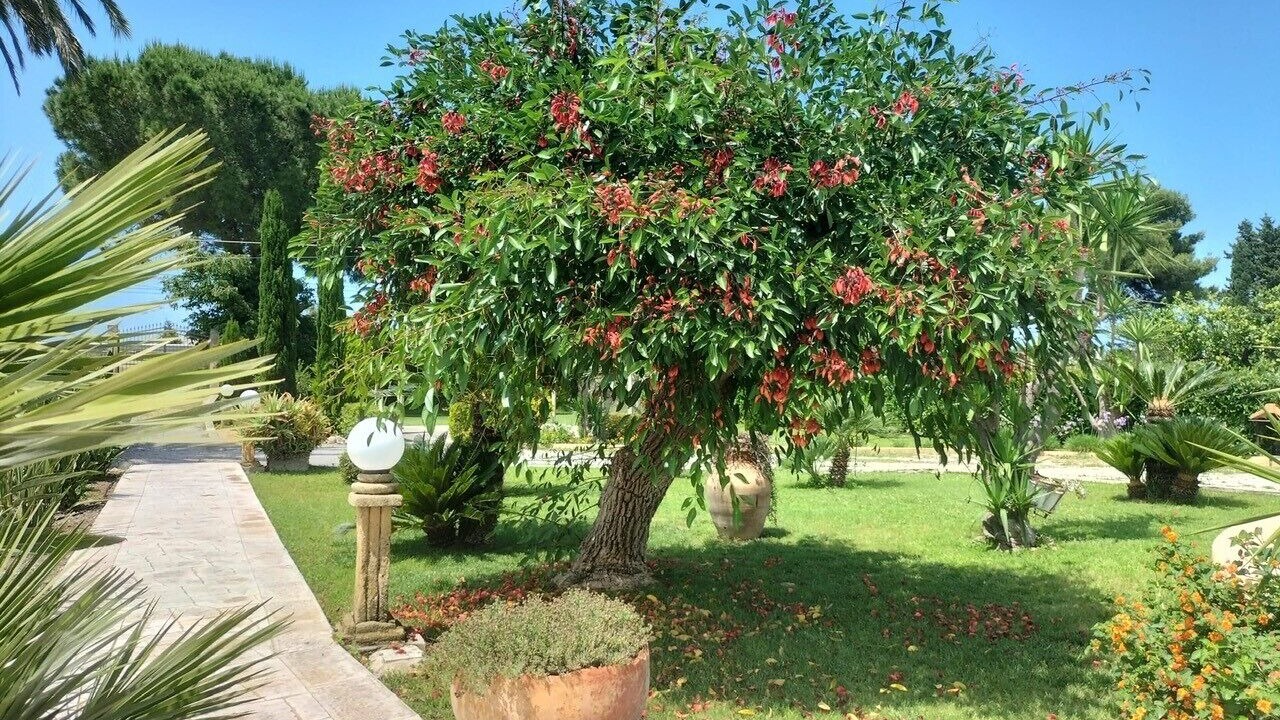 Photo of Outdoor in Campofelice di Roccella