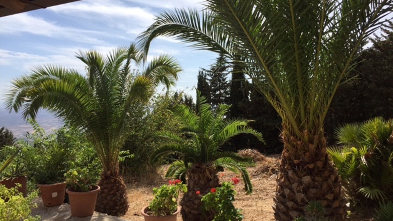 Photo of Outdoor in Casa Santa