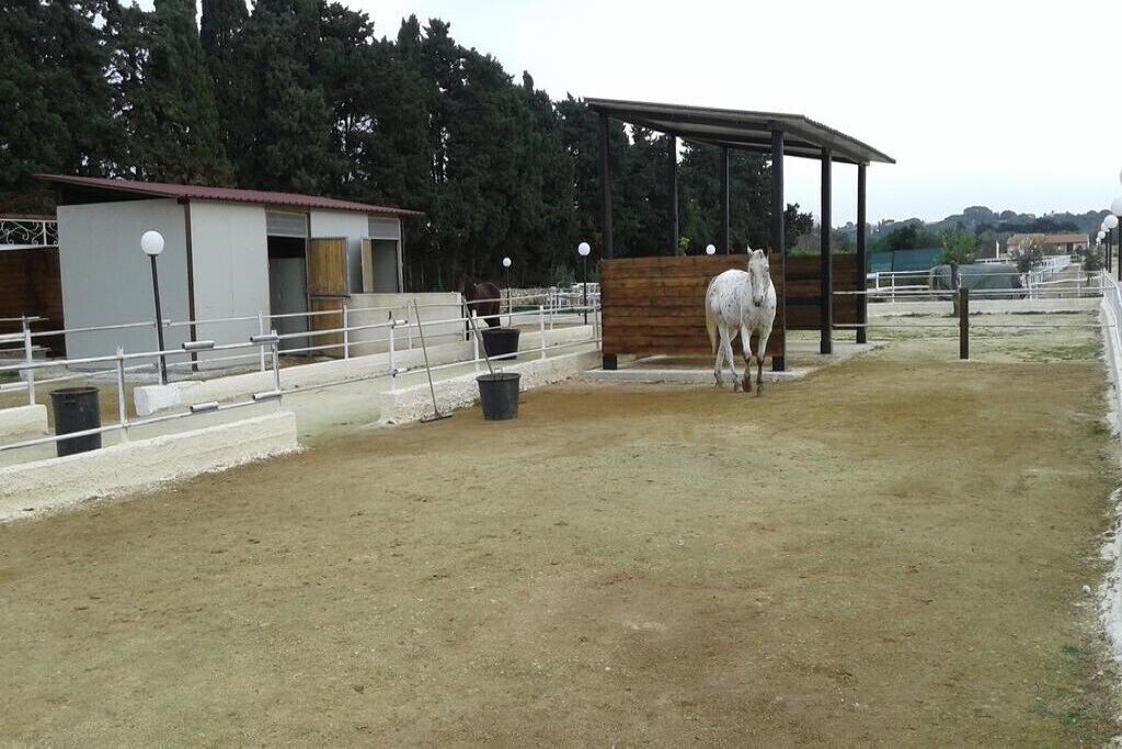 Photo of Outdoor in Fanusa