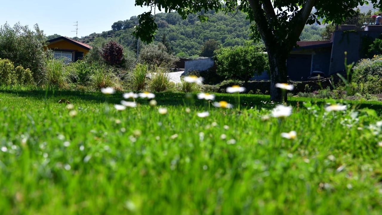 Photo of Outdoor in Fleri