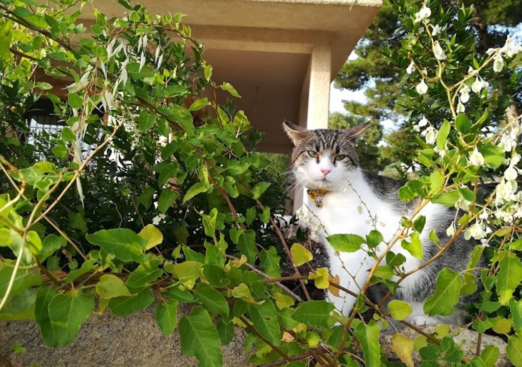 Photo of Outdoor in Sambuca di Sicilia