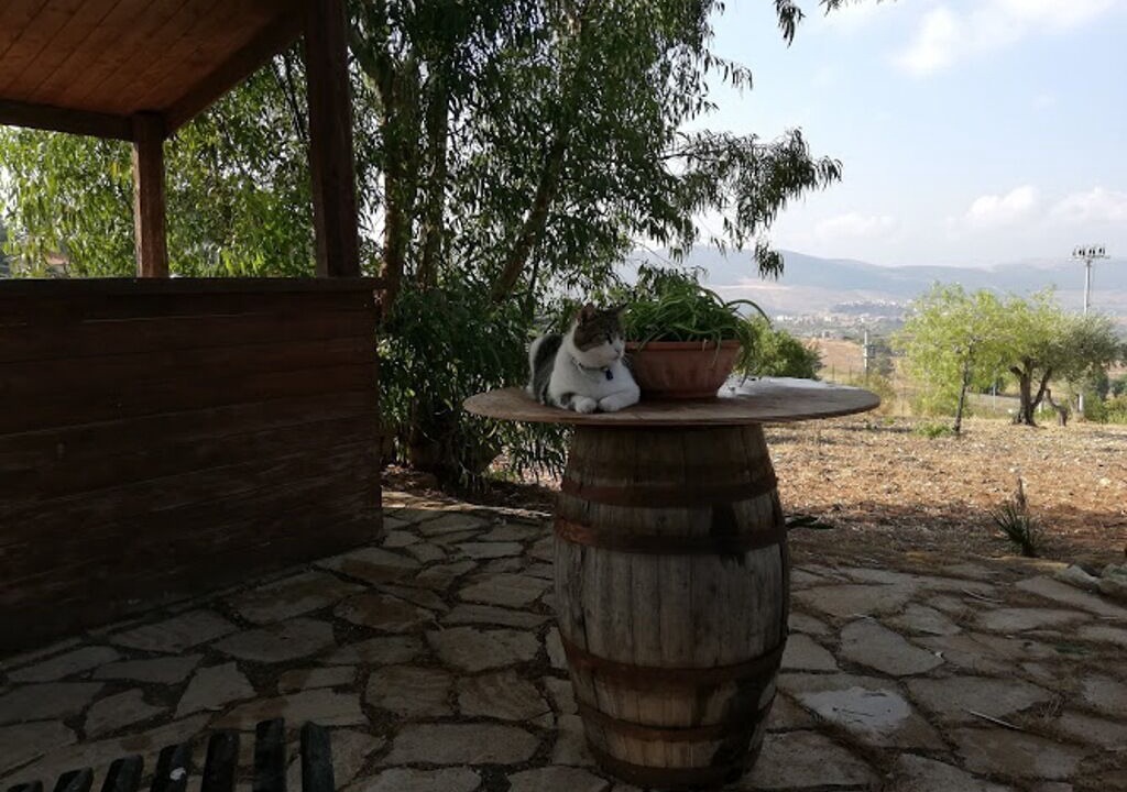 Photo of Others in Sambuca di Sicilia