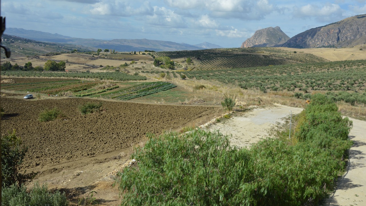 Photo of Others in San Giuseppe Jato