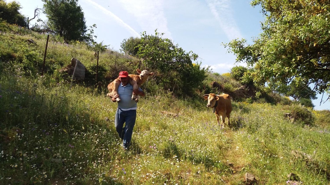 Photo of Others in Cerda