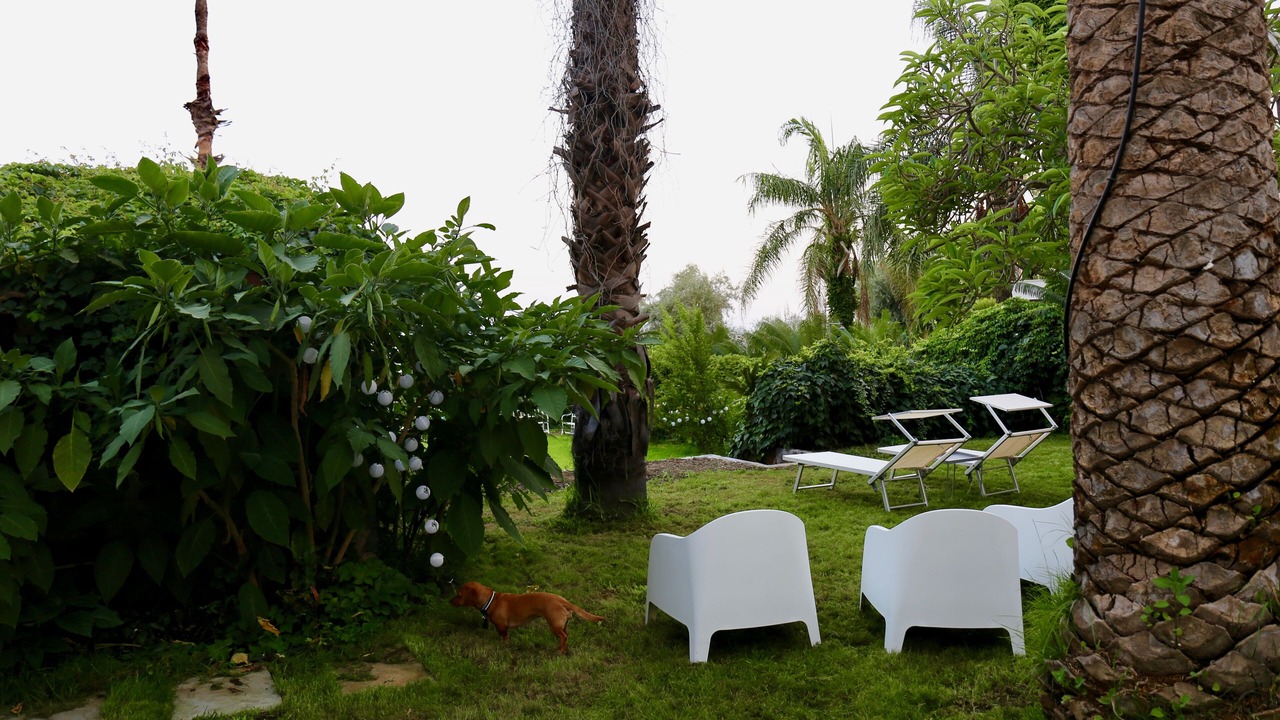 Photo of Outdoor in Aci Trezza