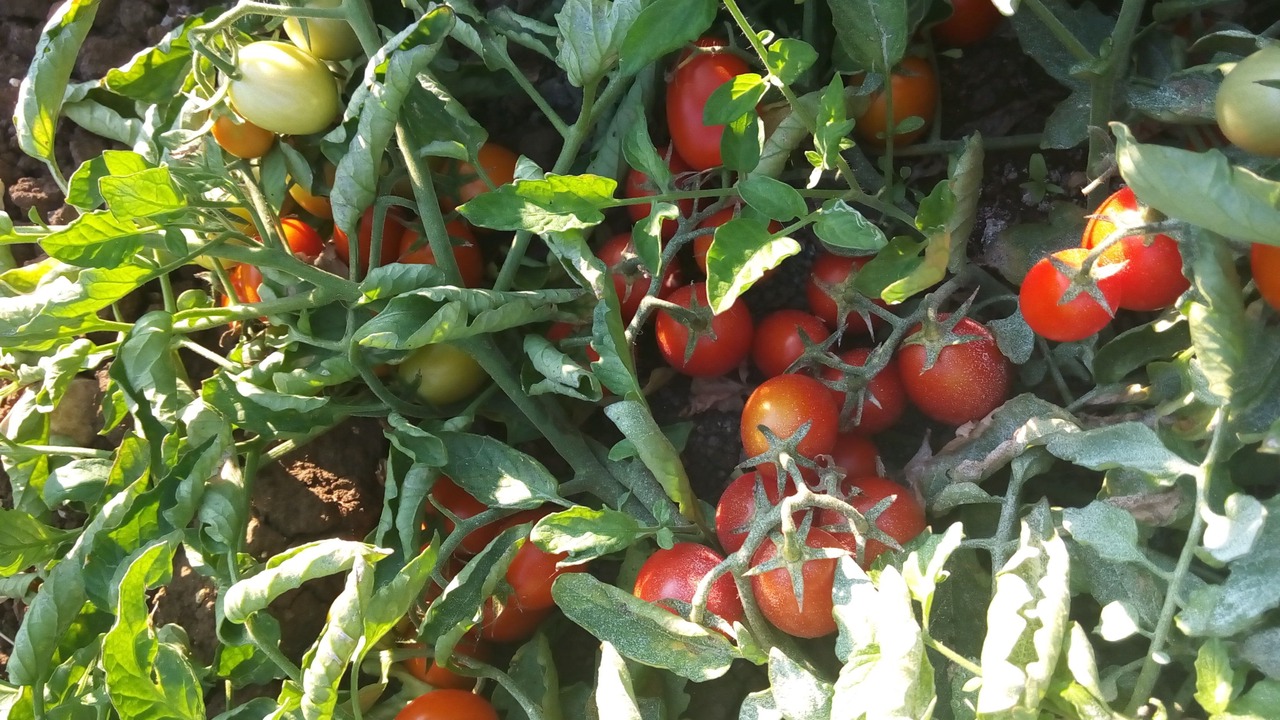 Photo of Outdoor in Sciacca