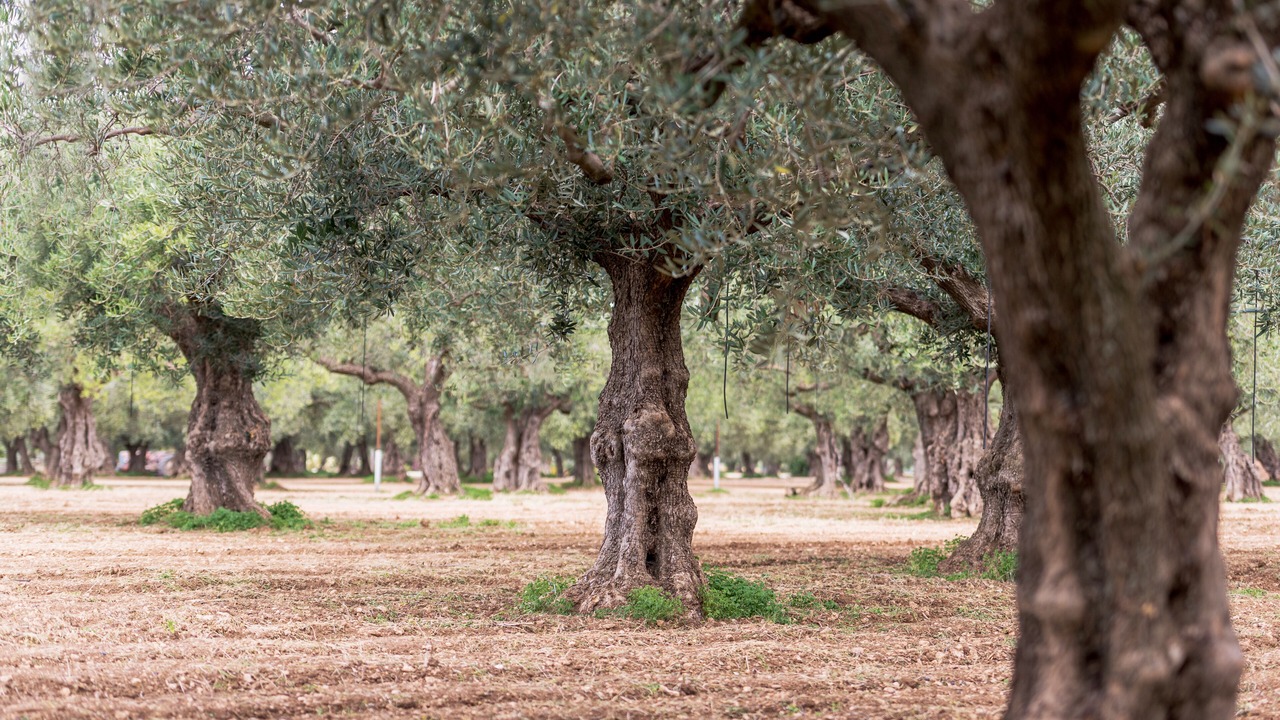 Photo of Outdoor in Sciacca