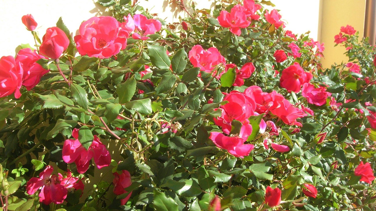 Photo of Outdoor in Sciacca