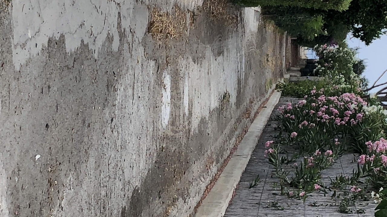 Photo of Outdoor in Piane Vecchie