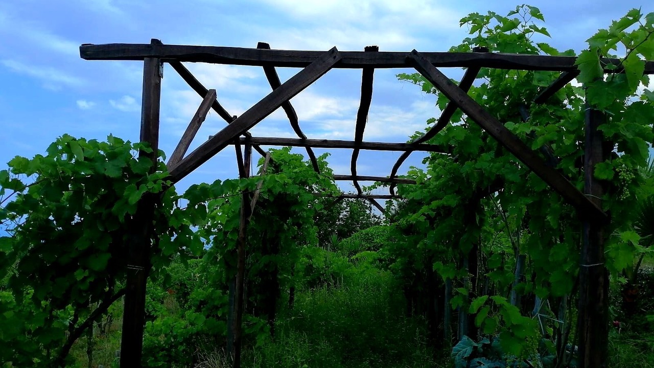 Photo of Outdoor in Fornazzo