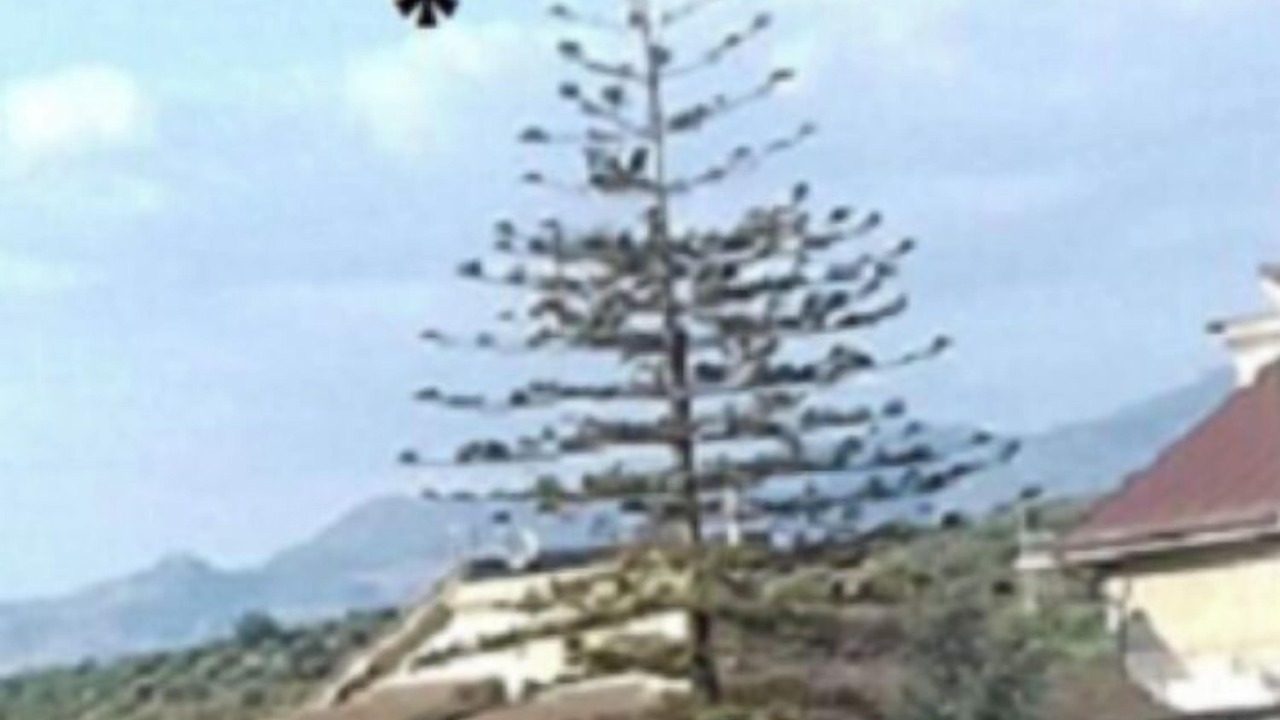 Photo of Outdoor in Ribera