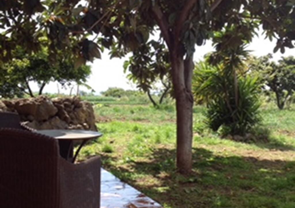 Photo of Outdoor in Fiumefreddo di Sicilia