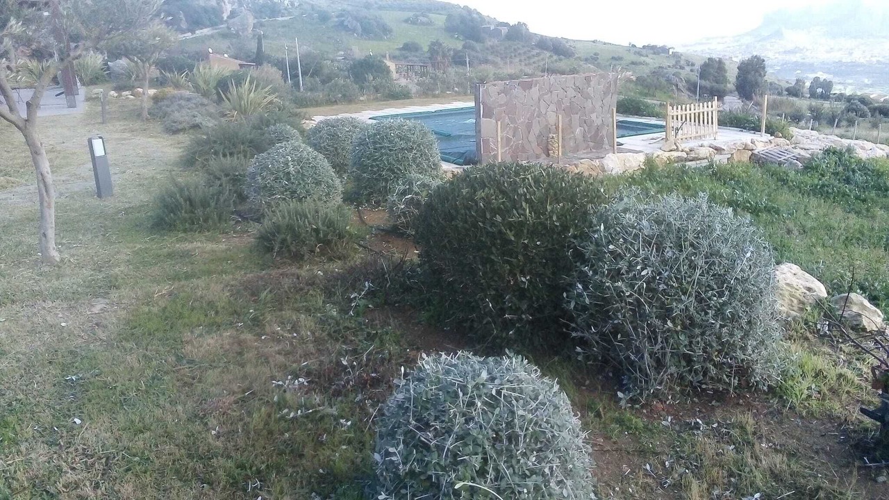 Photo of Outdoor in Castellammare del Golfo