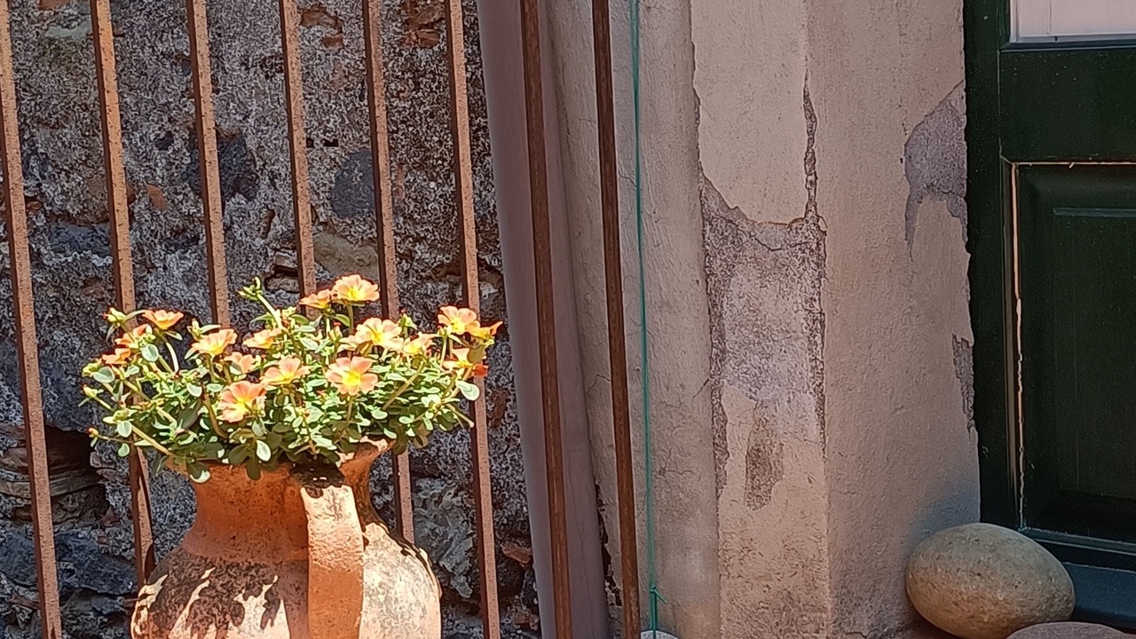 Photo of Outdoor in Rovittello