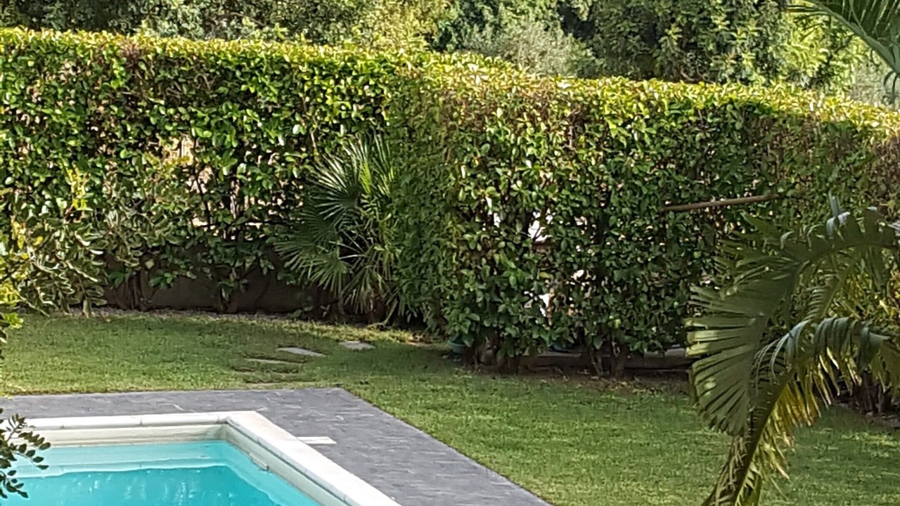 Photo of Outdoor in Capaci