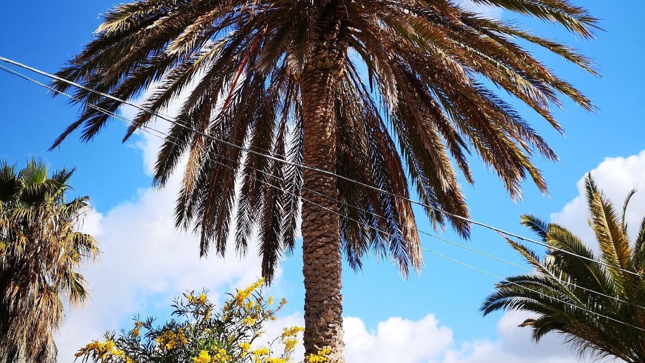 Photo of Outdoor in Marina di Modica