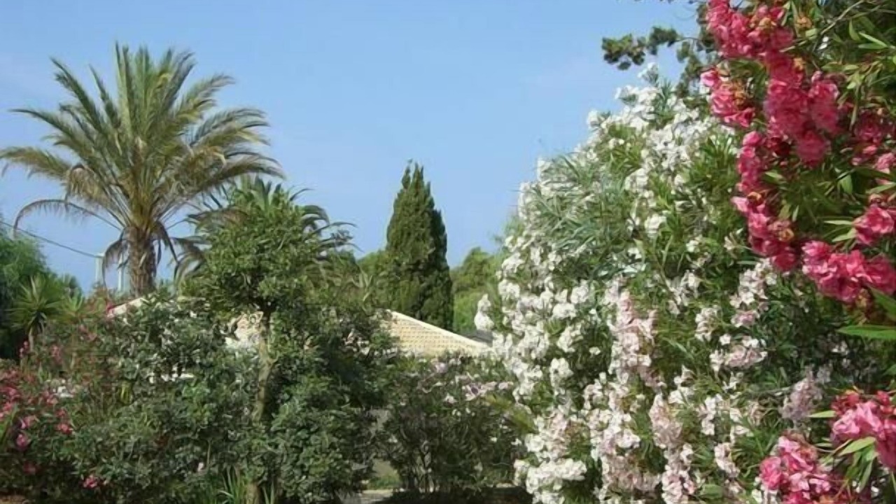 Photo of Outdoor in Marina di Modica
