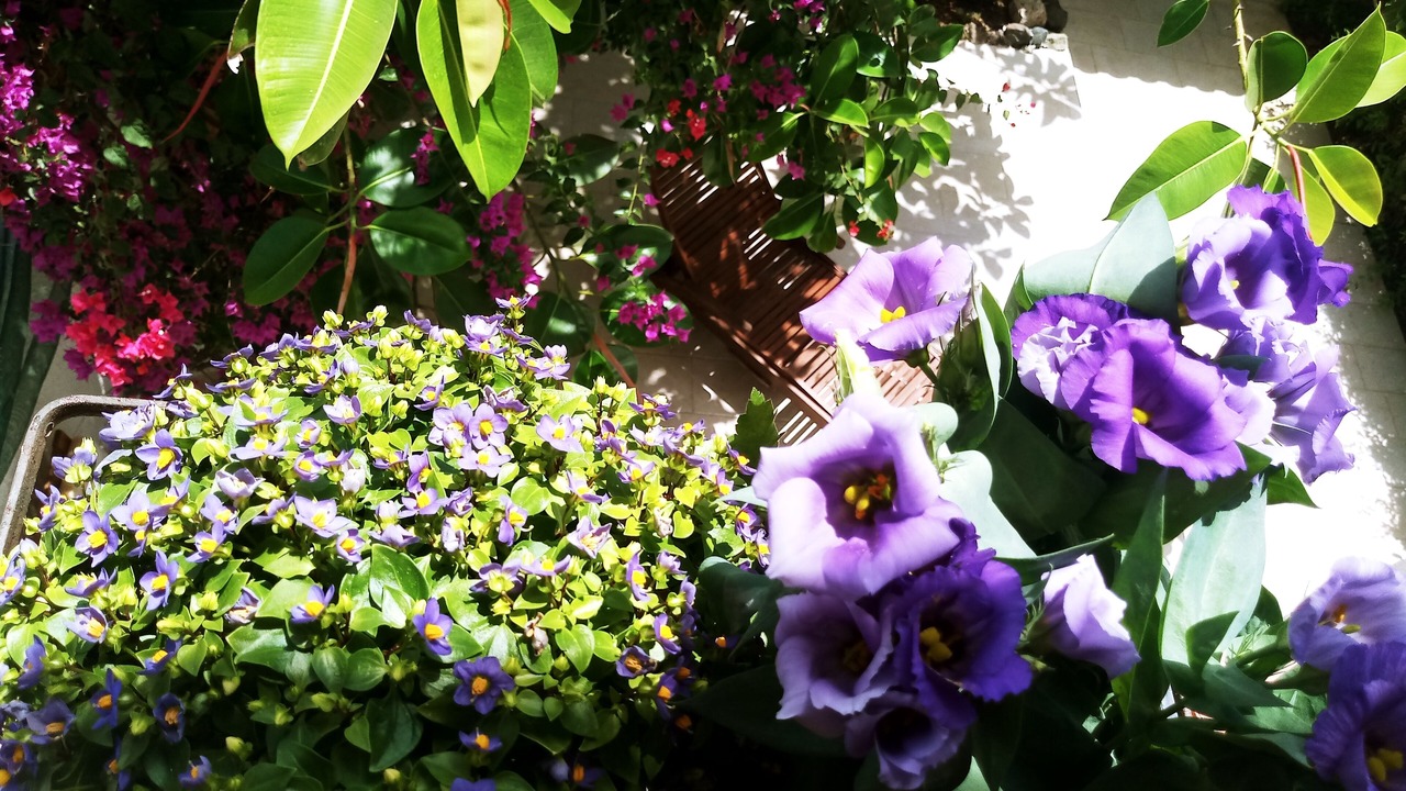 Photo of Outdoor in San Lorenzo