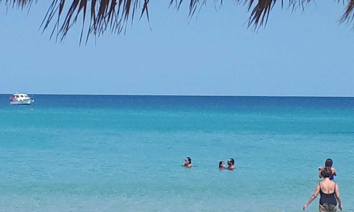 Photo of Others in San Lorenzo