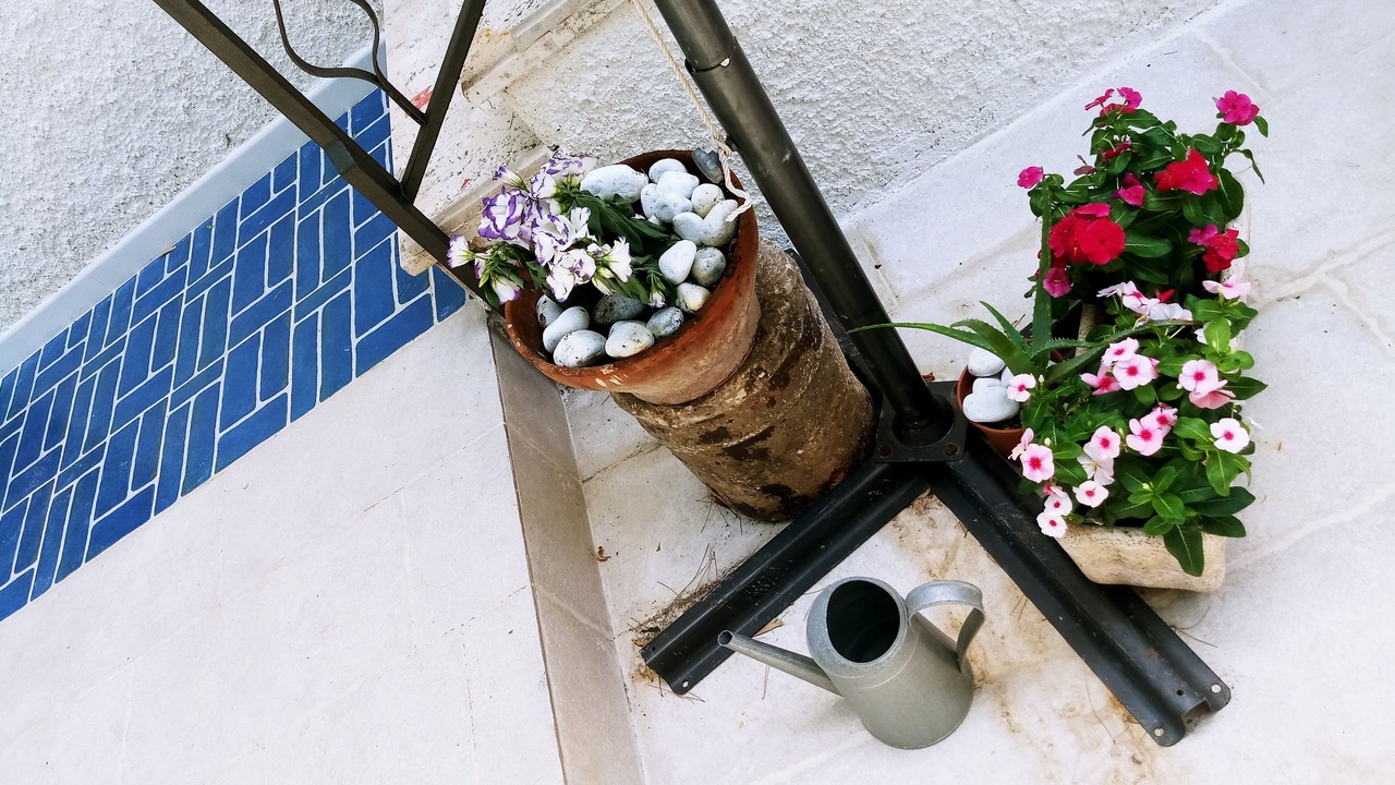Photo of Outdoor in San Lorenzo