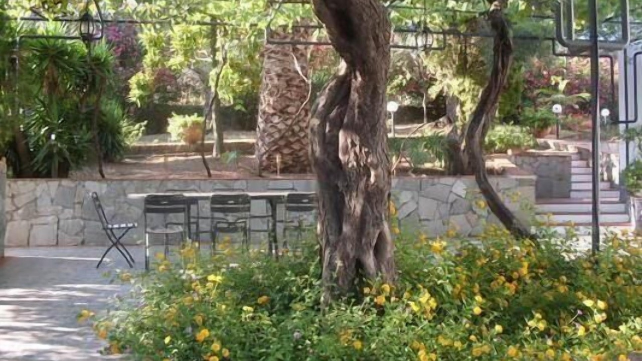 Photo of Outdoor in Patti
