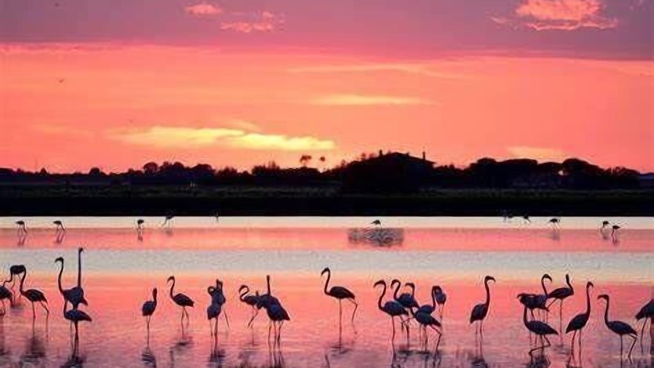 Photo of Others in Marsala