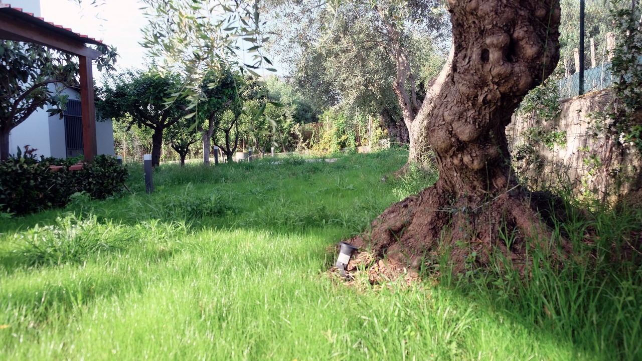 Photo of Outdoor in Partinico