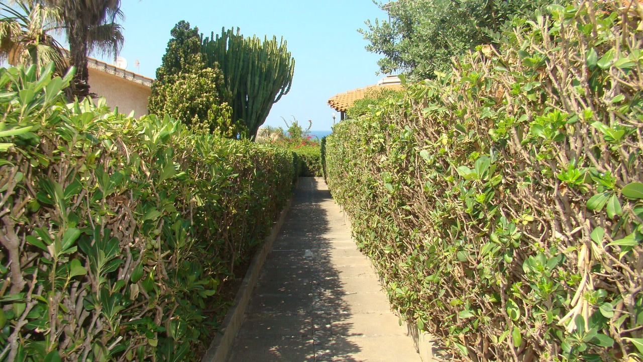 Photo of Outdoor in Costa Saracena-Castelluccio