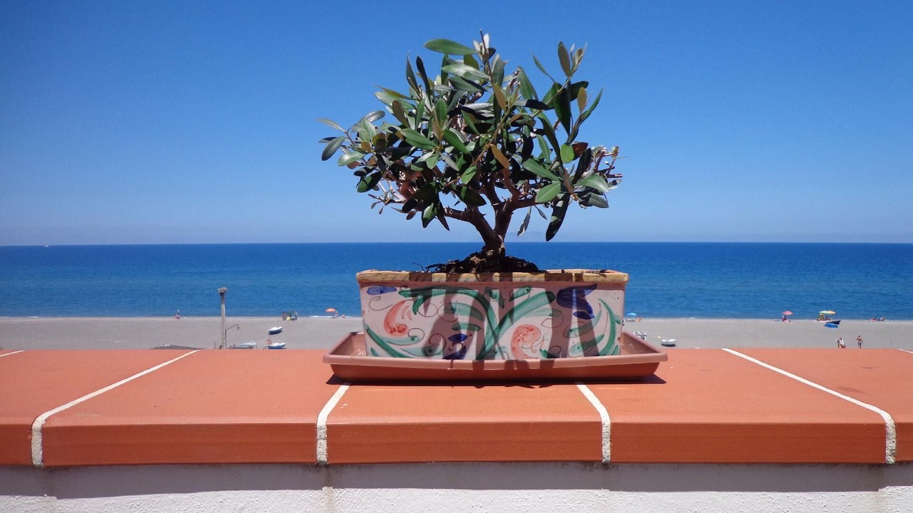 Photo of Outdoor in Marchesana