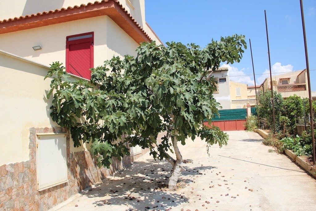 Photo of Outdoor in Castelvetrano