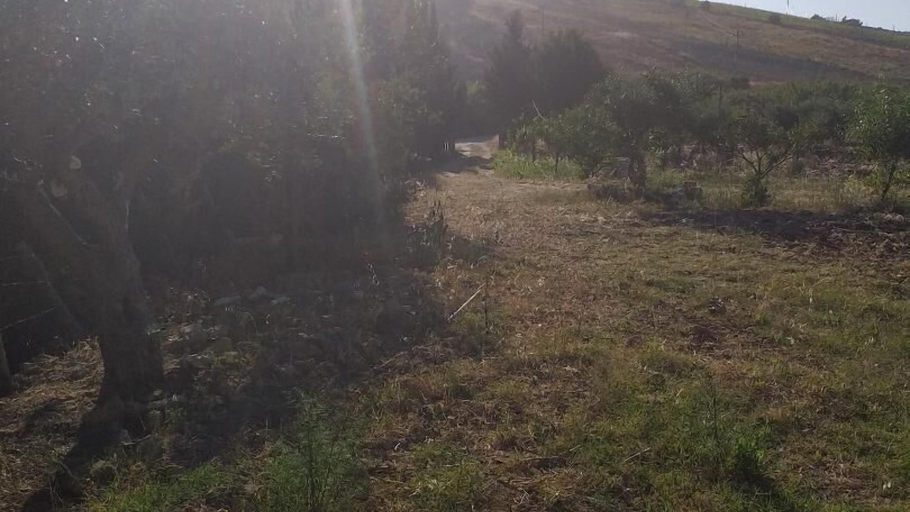 Photo of Outdoor in Siculiana