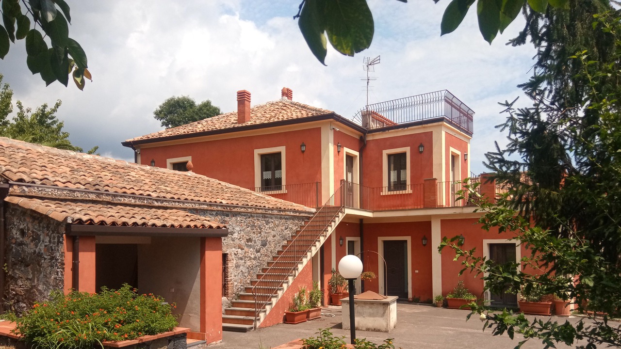 Photo of Outdoor in Milo