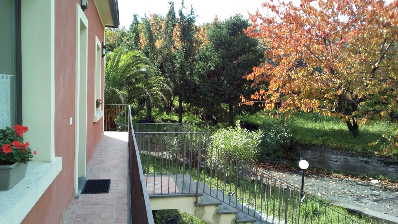 Photo of Outdoor in Milo