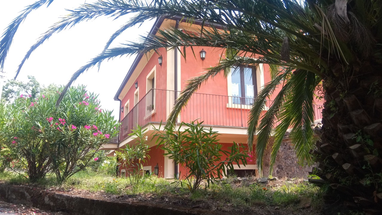 Photo of Outdoor in Milo