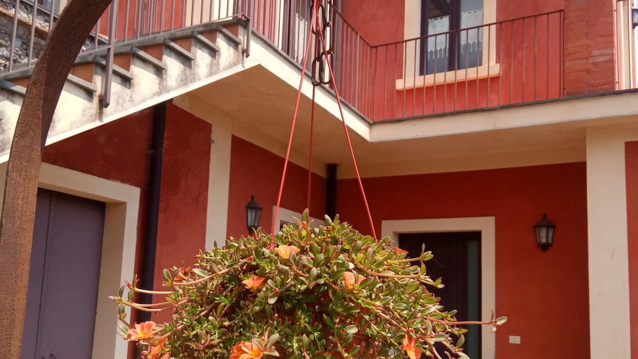 Photo of Outdoor in Milo