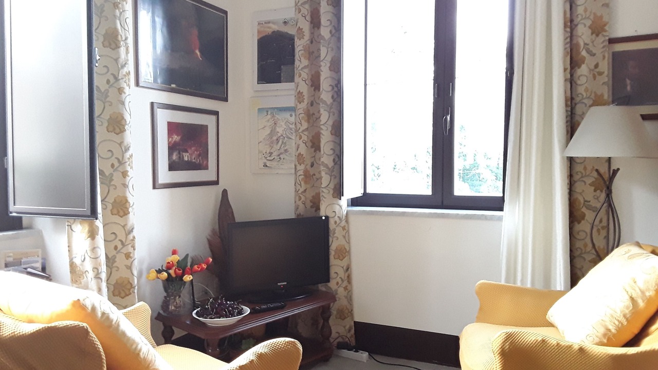 Photo of Livingroom in Milo