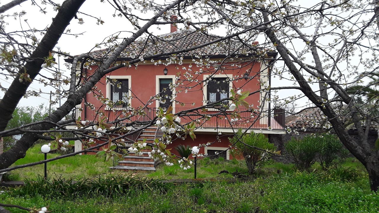 Photo of Outdoor in Milo