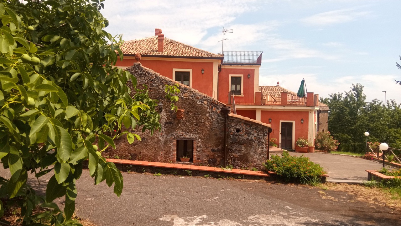 Photo of Outdoor in Milo