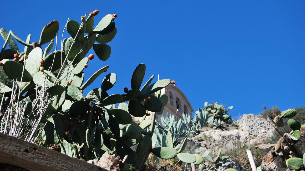 Photo of Outdoor in Licata