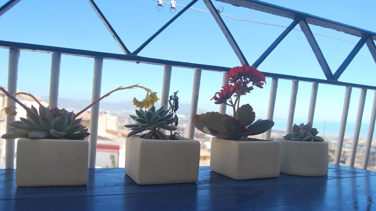 Photo of Outdoor in Licata