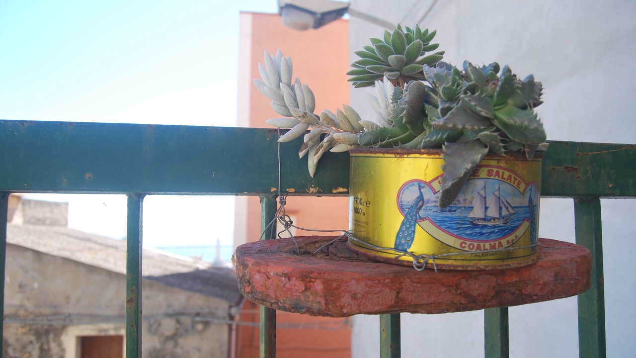 Photo of Others in Licata