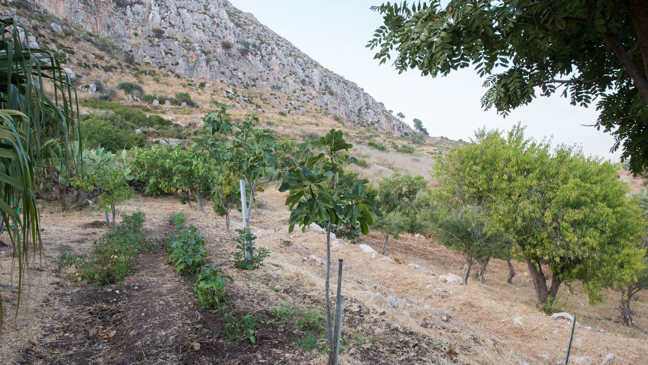Photo of Outdoor in Mockarta