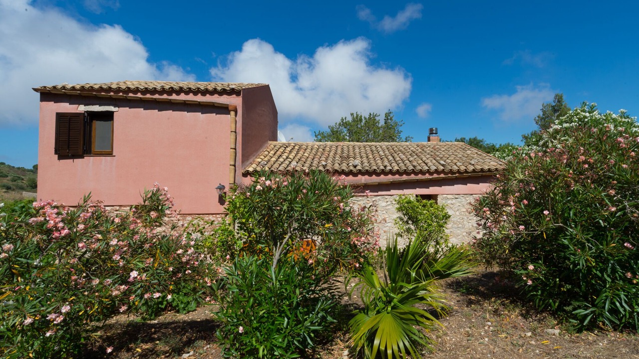 Photo of Outdoor in Mockarta
