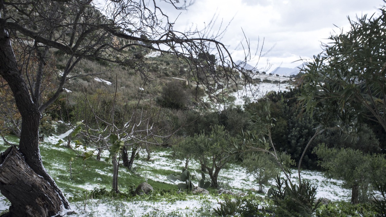 Photo of Outdoor in Mockarta