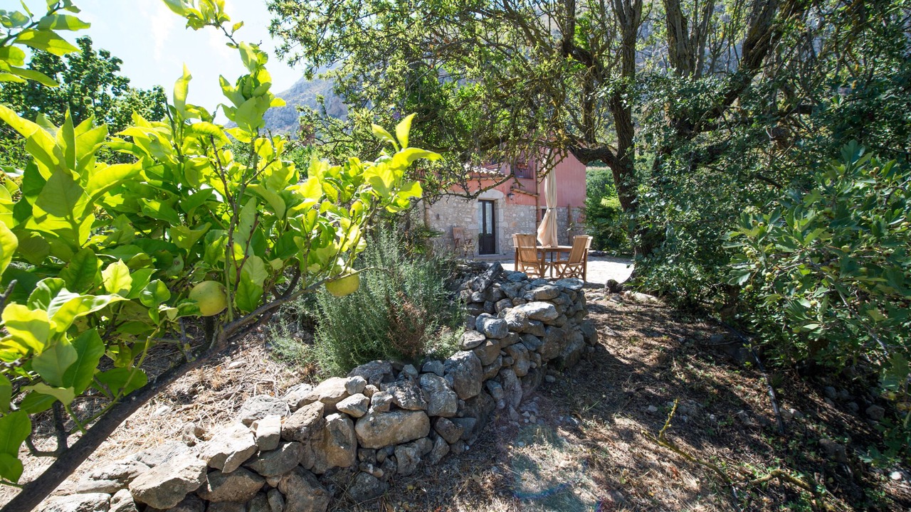 Photo of Outdoor in Mockarta