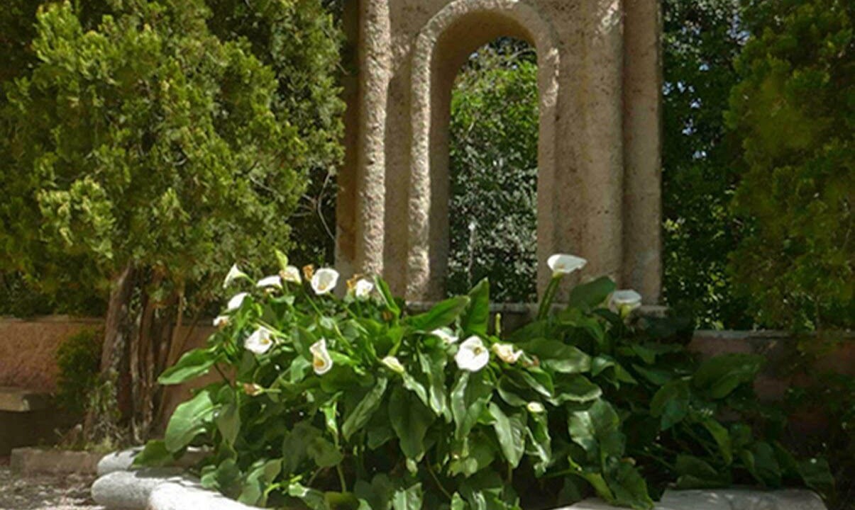 Photo of Outdoor in Porticello