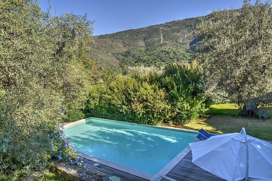 Photo of Outdoor in Mirto