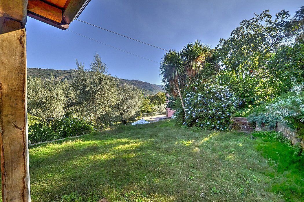 Photo of Outdoor in Mirto