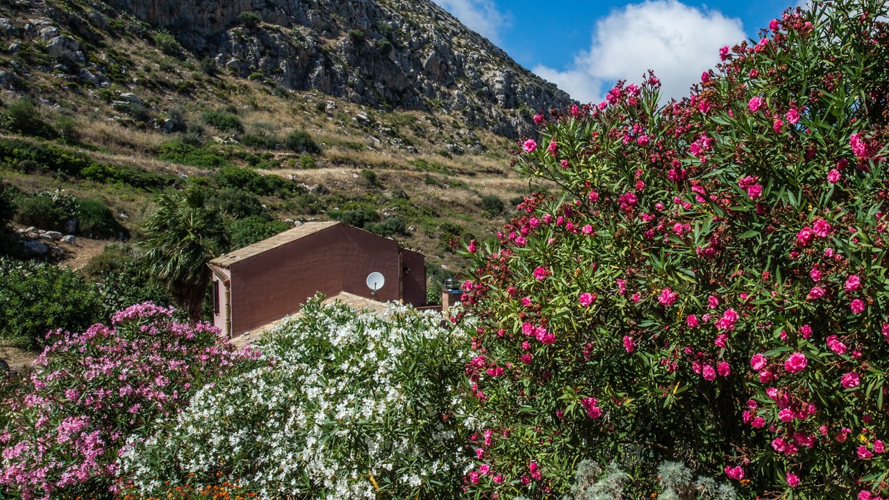 Photo of Outdoor in Valderice